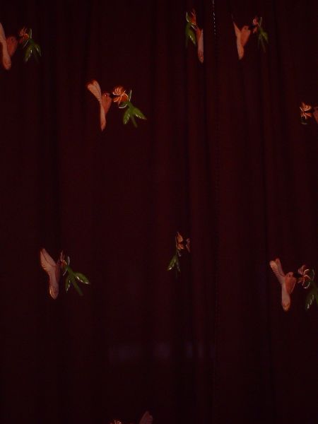 Cortina Beija-Flor